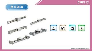 Magnetic Rodless Cylinder Chelic MRB
