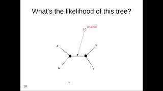 Computing the Phylogenetic Likelihood