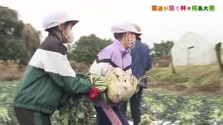 僕達が繋ぐ絆☆桜島大根 ②