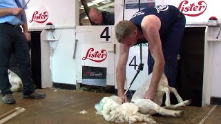 Cneifio agored pob gwlad - rhagbrawf | Open all nations shearing heat