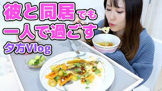 【ある日の午後】自宅勤務カップルでも一人時間が多めな平日。～夕食準備から寝るまでVlog～