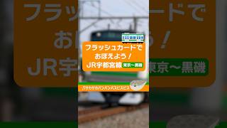 【駅名編７】フラッシュカードで覚えよう！JR宇都宮線・東北きりたんで歌ってみた！  #鉄道 #立川 #歌ってみた #カバー #neutrino #きりたん #宇都宮線 #ヘーグル #hegl