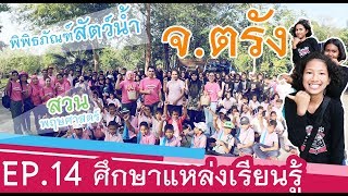 โรงเรียนบ้านหาดไข่เต่า EP.14 ศึกษาแหล่งเรียนรู้