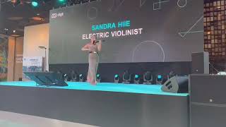 Sandra Hiie - Without you ( live electric violin cover)