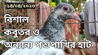 খালিশপুর নয়াবাটি কবুতর হাট পর্ব ৪৬ #পাখি কবুতরের হাট# biggest animal market in khulna #birds