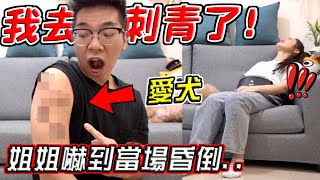 我去刺青了！偷偷把愛犬刺在身上 姐姐竟意外嚇到昏倒..『PRANK惡整』【希露弟弟啃雞腿】比熊 貴賓 Bichon Frise Poodle