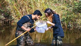 In-Depth with Biology - Academics Explored