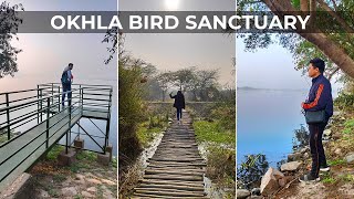 OKHLA BIRD SANCTUARY | Things To Do see in winters - Lakes, Birds, Watchtower | Delhi, NCR