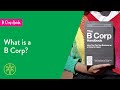 AOC B Corp Guide - What is a B Corp?