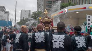 深川八幡祭り（富岡八幡宮例大祭）神輿連合渡御　琴平　 2023/8/13 f9