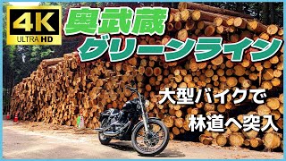 【ハーレー】大型バイクでも走れる完全舗装林道『秩父奥武蔵グリーンライン』ツーリング4Kハイビジョン【モトブログ】