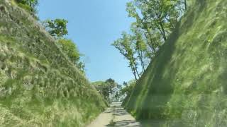 福島県 林道 唐神線