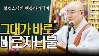 |#월호스님|그대가 바로 비로자나불(대방광 불화엄경 용수보살 약찬게) #행불선원 #108게송으로 보는 부처님의 가르침