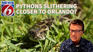 Python DNA found in Central Florida waterway. Here’s what that means