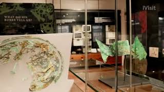 iVisit Presents : The Novium Museum