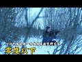 零度以下：一口气看完第一季艾瑞克/苏珊的荒野生活#零度以下的生活