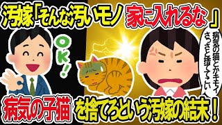 【2ch修羅場スレ】汚嫁「汚いモノを家に入れるな！」病気の子猫を捨てて来いという嫁の悲しい結末