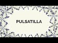 An attention grabber who seeks love of others - Pulsatilla personality