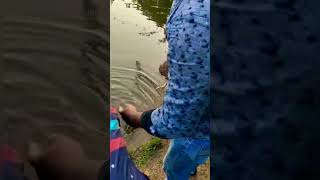 தூண்டிலில் சிக்கிய ஆமை🎣