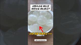 어? 대부분 모른다는 설탕 나무의 정체