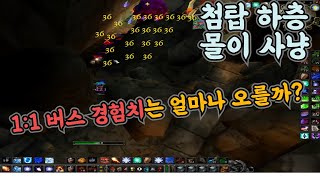 검은바위 첨탑 하층 몰이사냥 경험치는 얼마나 줄까?