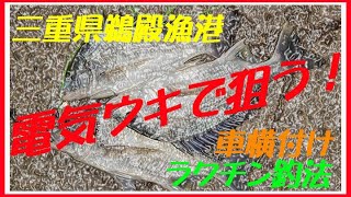 2023年1月　電気ウキで狙う！　三重県鵜殿漁港から