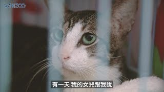 【由憎貓到愛貓🐱 義工剖白💁‍♀️】 ｜玉姐姐：我有一個習慣，從來唔會同佢哋影相，因為... ❤️｜