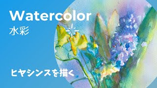 【水彩 Watercolor】ヒヤシンスを描く