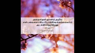 மன வளர்ச்சி