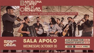 Barcelona Gipsy balKan Orchestra Live in Apolo 2019 - Sandra Sangiao Last Concer
