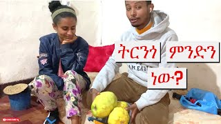 ትርንጎ ምንድን ነው?