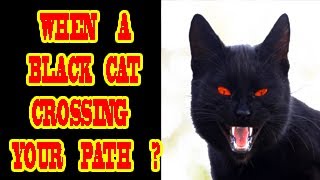 WHEN A BLACK CAT CROSSES YOUR PATH WHAT DOES IT MEAN ?