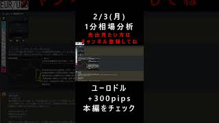 【FX先出解説】ユーロドル+300pips大勝！/ドル円短期逆張りシナリオ解説(ドル円・ユーロドル・その他通貨ペア解説)#fx #投資 #先出しシナリオ#専業トレーダーシナリオ #電子書籍