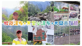 蛟龍瀑布+天雲谷瀑布+太興黃頭鷺2024/9/12(星期四)