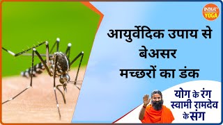 Dengue-Malaria Tips:  डेंगू,मलेरिया,चिकनगुनिया का बढ़ा खौफ, योग बनाएगा स्ट्रांग | Swami Ramdev