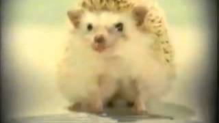 2001 Sonic Adventure 2 Commercial - Hedgehog Experiments