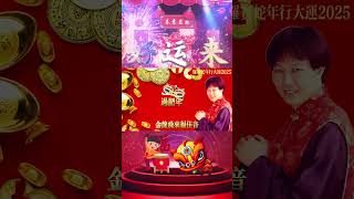 【2025最优系列新年歌】罗宾蛇年行大运2025 | Luo Bin Chinese New Year Song 2025 | 最好听的经典贺岁歌曲