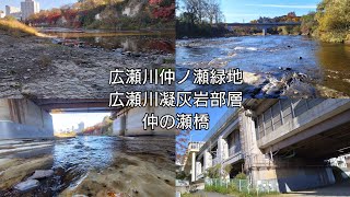 広瀬川仲ノ瀬緑地、広瀬川凝灰岩部層、仲の瀬橋