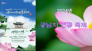 부여서동연꽃축제 #2024년 22회  #궁남지 연꽃축제