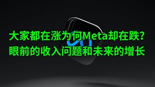 大家都在涨为何Meta却在跌？眼前的收入问题和未来的增长如何权衡？(美股天天说20220621)