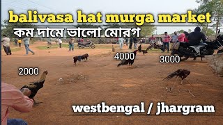 Balivasa hat murga market #westbengal Jhargram#Kukru  hat #  fighter  murga  market #  jharkhand #