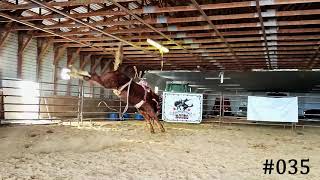 Super slow-mo bucking colt! #035 outstanding and not even 1 year old.