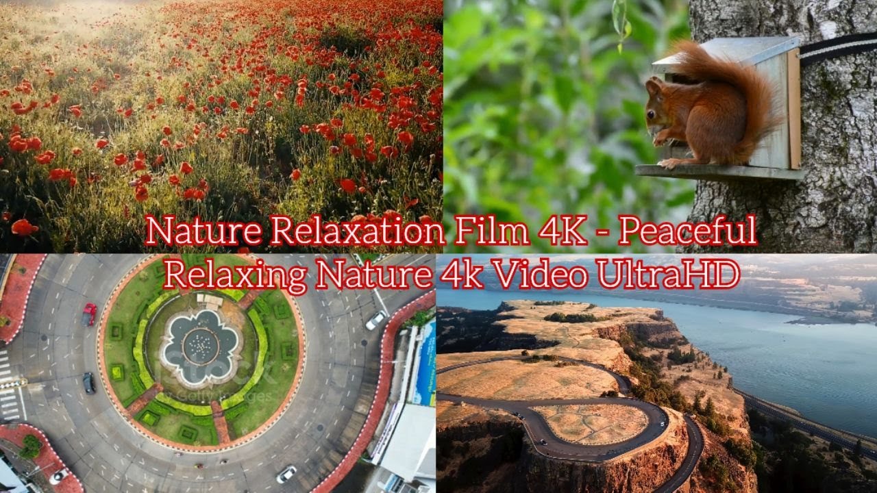 Nature Relaxation Film 4k Peaceful Relaxing Nature 4k Video Ultrahd