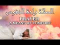 Prayer: A Means of Comfort (الصلاة راحة للنفوس) - Dr Sheikh Ibrahim El-Shafie