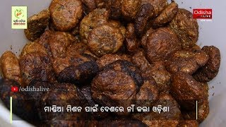 Millet Mission Report | Krushi Odisha 2020 - ମାଣ୍ଡିଆ ମିଶନ ପାଇଁ ଦେଶରେ ନାଁ କଲା ଓଡ଼ିଶା