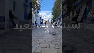 سيدي بوسعيد -تونس Tunis أشهر منطقة سياحية تونس