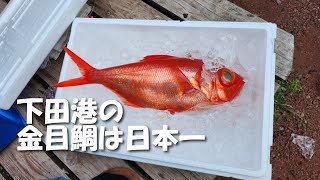 「道の駅開国下田みなと」で買った～下田産のでっかい金目鯛とちっちゃい伊勢えびのバーベキューと生しらすとか色々美味しかった