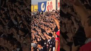 バモス ロッテサポーター 統一 大迫力 阪神甲子園球場