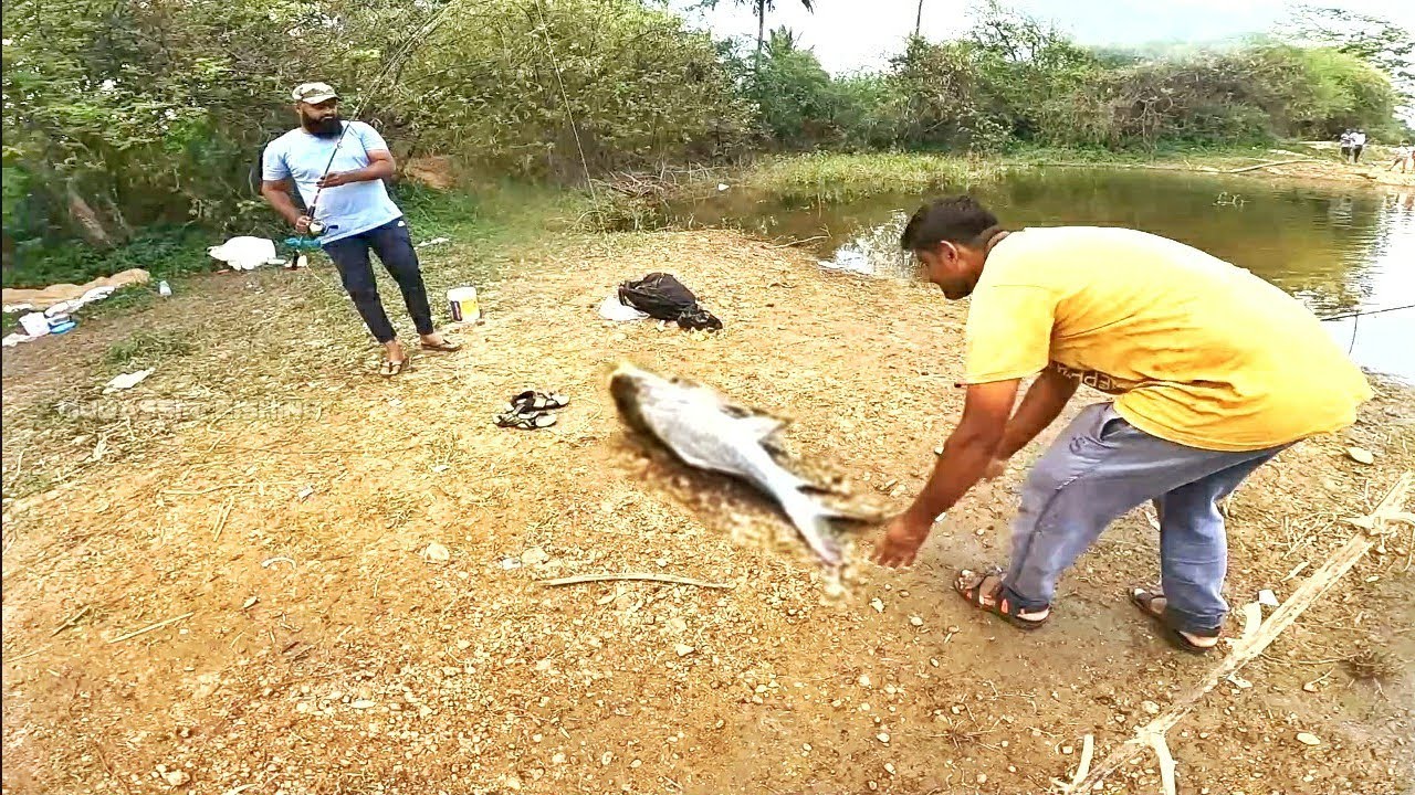 ಮೀನು ಹಿಡಿಯುವ ಸುಲಭವಧಾನ || Easy Way To Catch Big Fish - YouTube