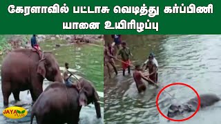 கேரளாவில் பட்டாசு வெடித்து கர்ப்பிணி யானை உயிரிழப்பு | Kerala | Elephant Died | Fireworks